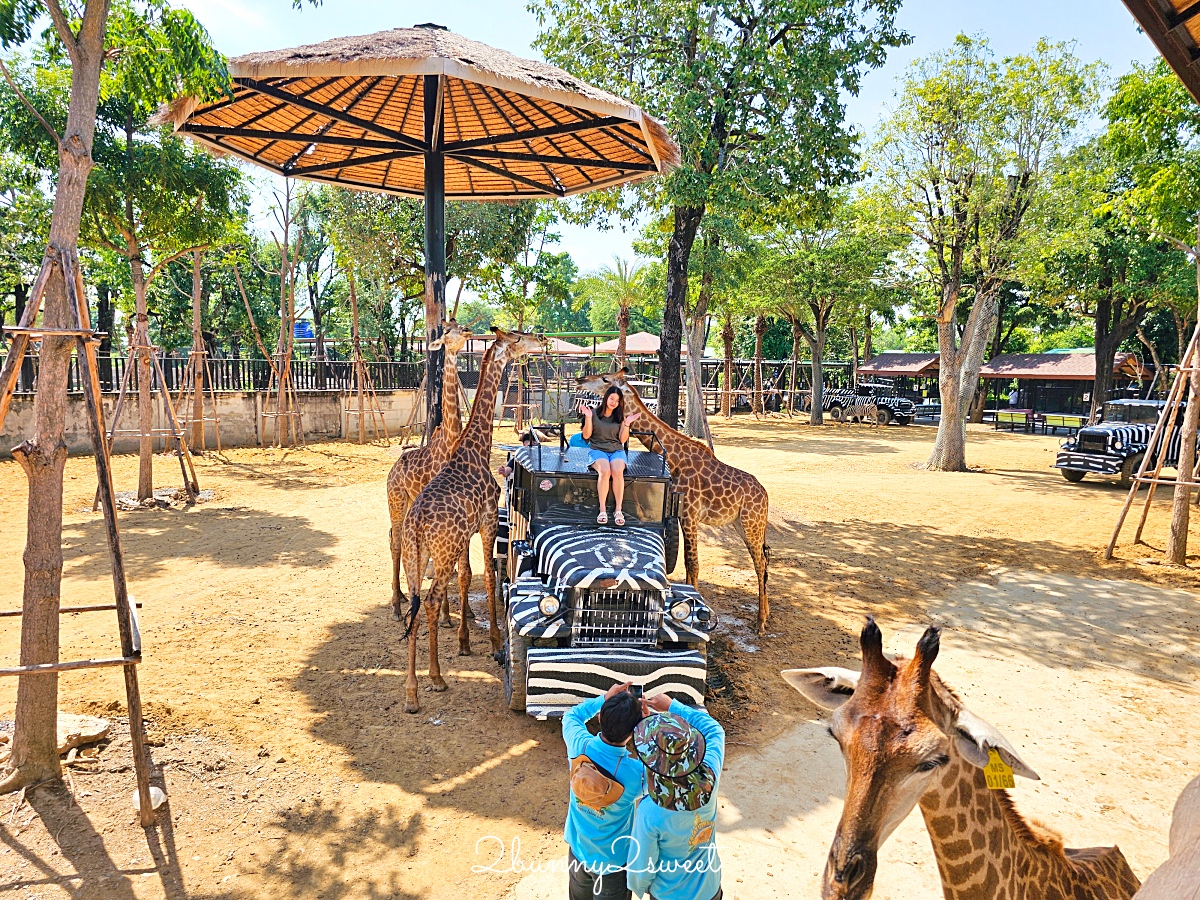 泰國大城景點「大城動物園」吉普車長頸鹿合照,還能牽獅子老虎的 Sriayuthaya Lion Park @兔兒毛毛姊妹花 泰國大城景點「大城動物園」吉普車長頸鹿合照,還能牽獅子老虎的 Sriayuthaya Lion Park @兔兒毛毛姊妹花