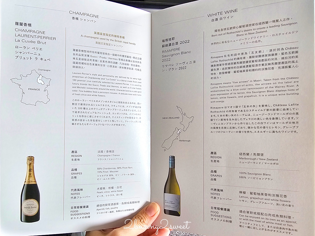 【星宇航空商務艙】A330-900neo開箱！台北直飛仙台JX862座椅、餐點評價 @兔兒毛毛姊妹花