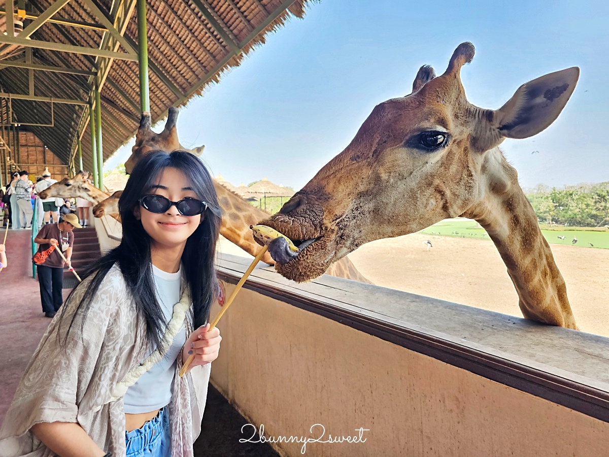 【萊旅遊曼谷包車】曼谷野生動物園一日遊推薦|Safari World、動物咖啡廳、夜市輕鬆玩 @兔兒毛毛姊妹花 【萊旅遊曼谷包車】曼谷野生動物園一日遊推薦|Safari World、動物咖啡廳、夜市輕鬆玩 @兔兒毛毛姊妹花