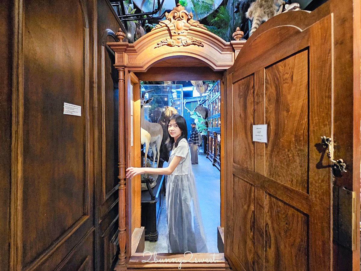 【仰角舶物民權店】台南動物標本博物館，近距離欣賞長頸鹿、氂牛等大型標本的室內景點 @兔兒毛毛姊妹花
