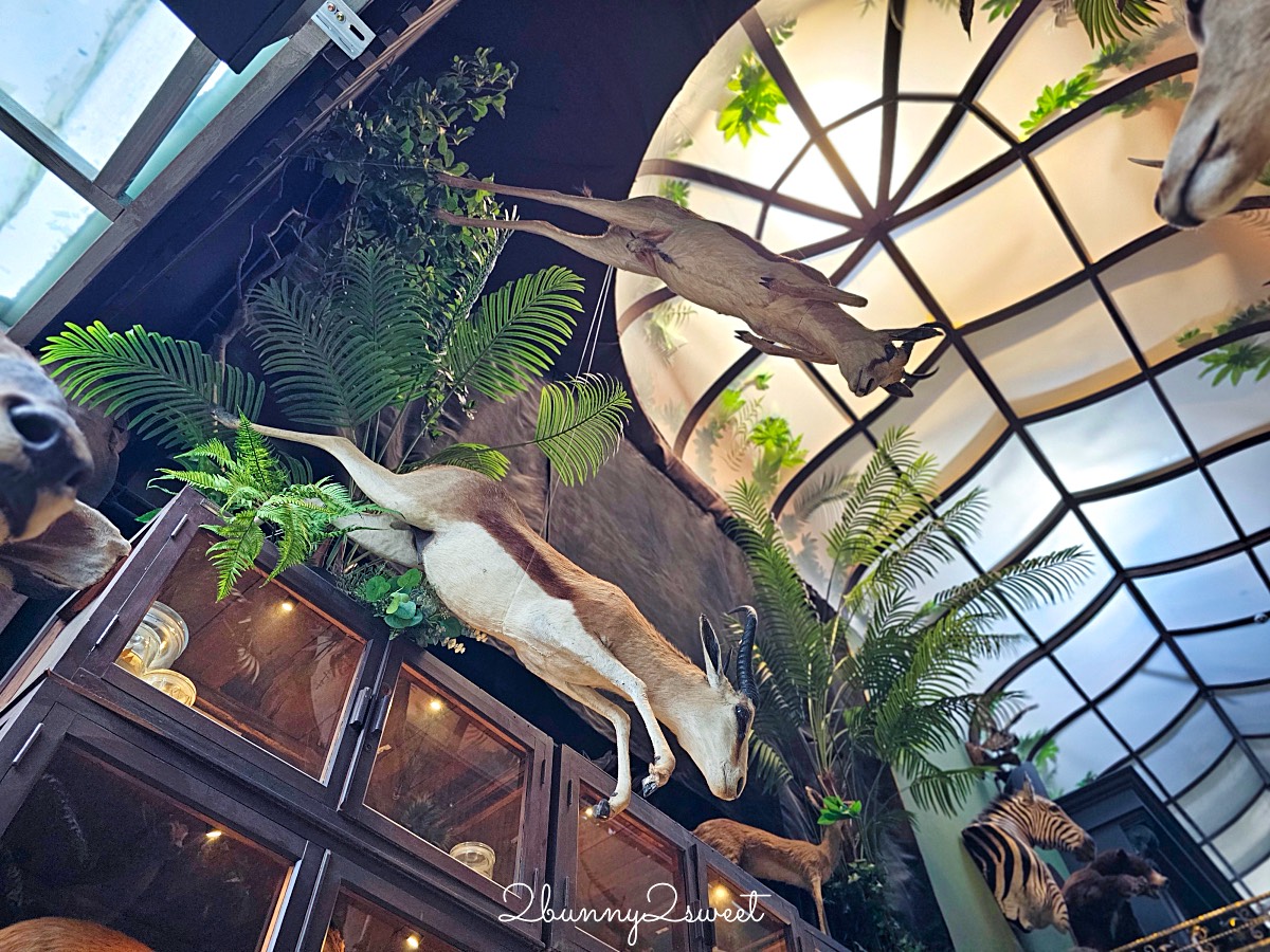 【仰角舶物民權店】台南動物標本博物館，近距離欣賞長頸鹿、氂牛等大型標本的室內景點 @兔兒毛毛姊妹花