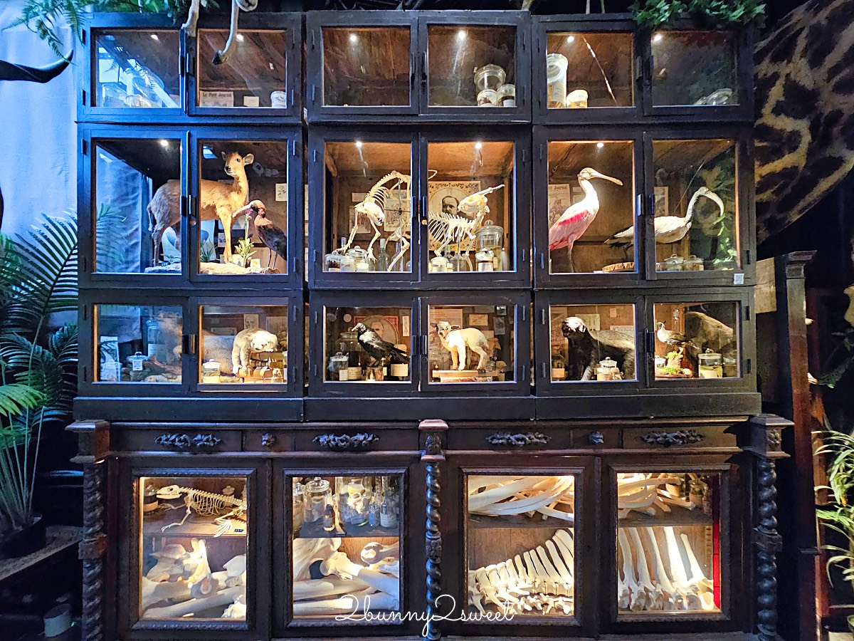 【仰角舶物民權店】台南動物標本博物館，近距離欣賞長頸鹿、氂牛等大型標本的室內景點 @兔兒毛毛姊妹花