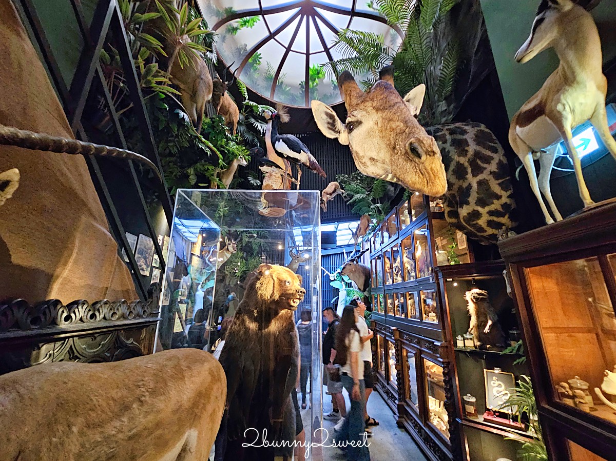 【仰角舶物民權店】台南動物標本博物館，近距離欣賞長頸鹿、氂牛等大型標本的室內景點 @兔兒毛毛姊妹花