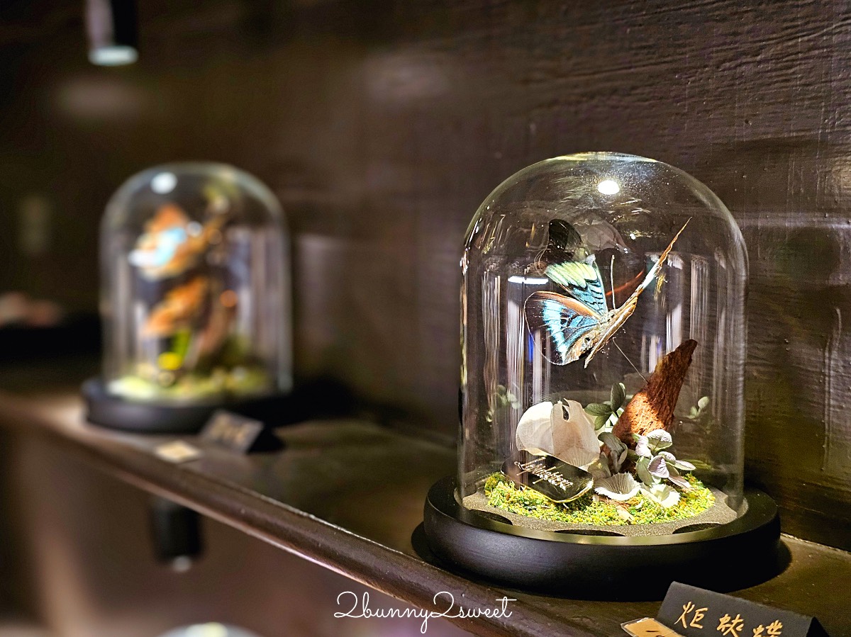【仰角舶物忠義店】台南免費景點|標本館、蝴蝶飾品、雨天室內景點推薦 @兔兒毛毛姊妹花 【仰角舶物忠義店】台南免費景點|標本館、蝴蝶飾品、雨天室內景點推薦 @兔兒毛毛姊妹花