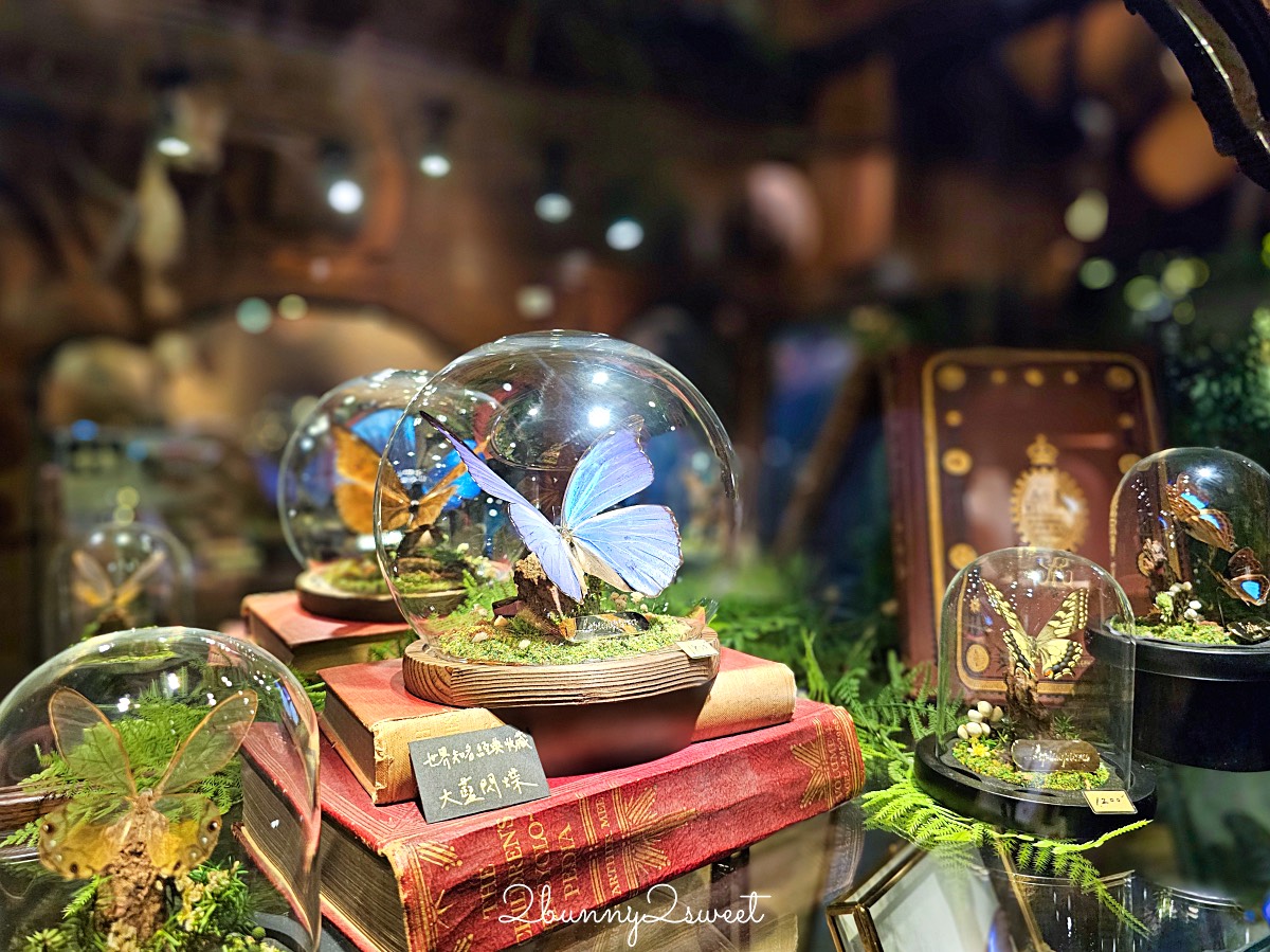 【仰角舶物忠義店】台南免費景點|標本館、蝴蝶飾品、雨天室內景點推薦 @兔兒毛毛姊妹花 【仰角舶物忠義店】台南免費景點|標本館、蝴蝶飾品、雨天室內景點推薦 @兔兒毛毛姊妹花