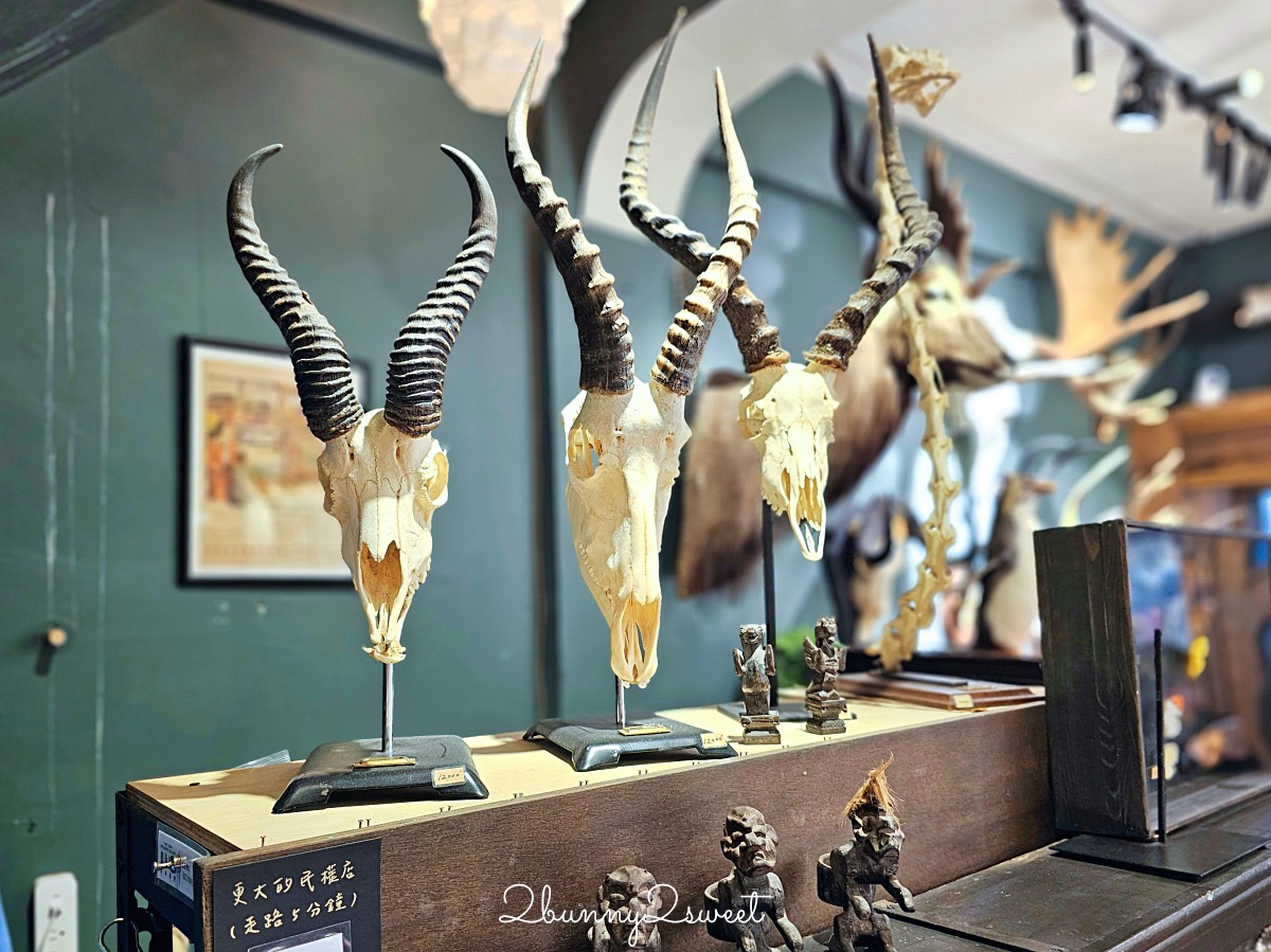 【仰角舶物忠義店】台南免費景點|標本館、蝴蝶飾品、雨天室內景點推薦 @兔兒毛毛姊妹花 【仰角舶物忠義店】台南免費景點|標本館、蝴蝶飾品、雨天室內景點推薦 @兔兒毛毛姊妹花