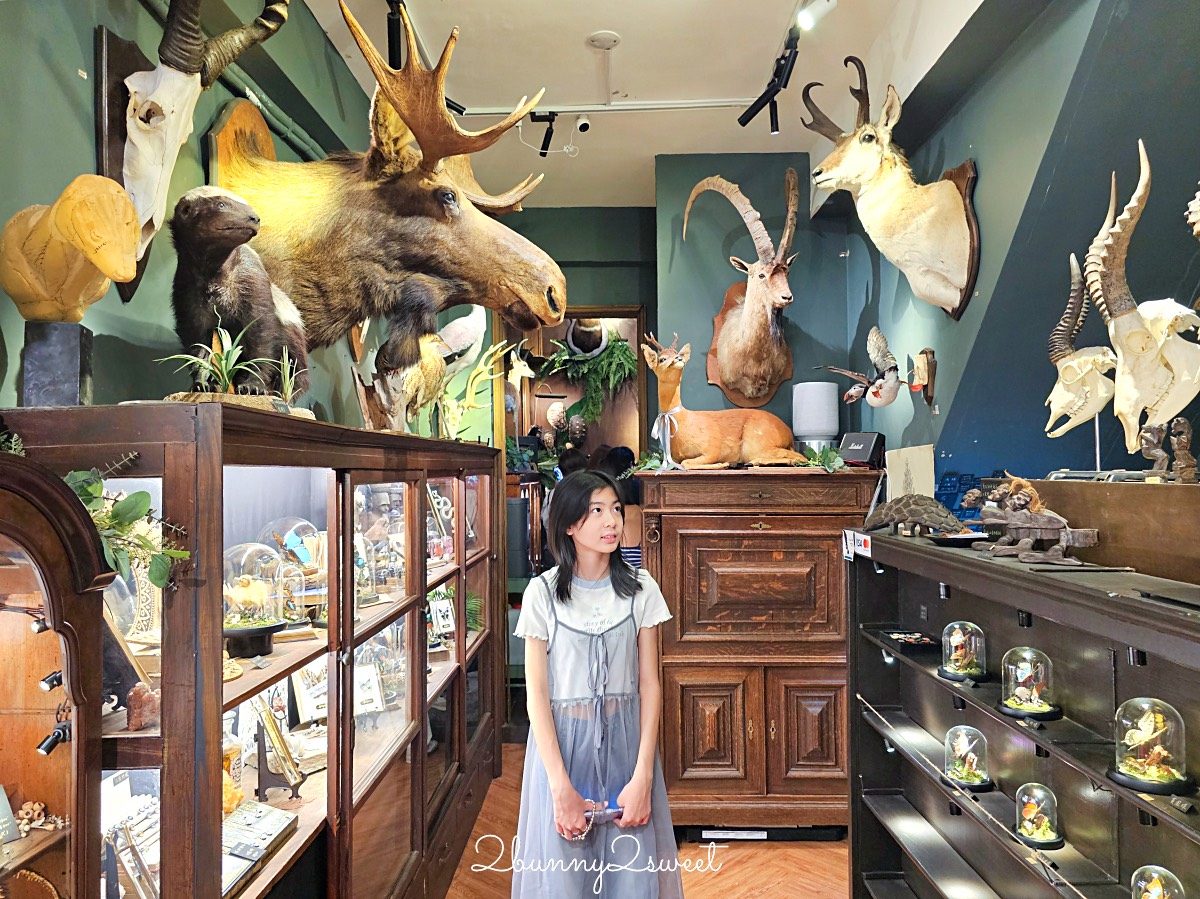 【仰角舶物忠義店】台南免費景點|標本館、蝴蝶飾品、雨天室內景點推薦 @兔兒毛毛姊妹花 【仰角舶物忠義店】台南免費景點|標本館、蝴蝶飾品、雨天室內景點推薦 @兔兒毛毛姊妹花