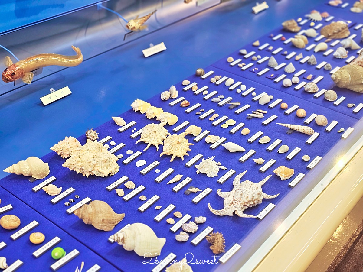 鳥取景點【海とくらしの史料館】日本最大魚類標本博物館,鳥取境港室內景點推薦 @兔兒毛毛姊妹花 鳥取景點【海とくらしの史料館】日本最大魚類標本博物館,鳥取境港室內景點推薦 @兔兒毛毛姊妹花