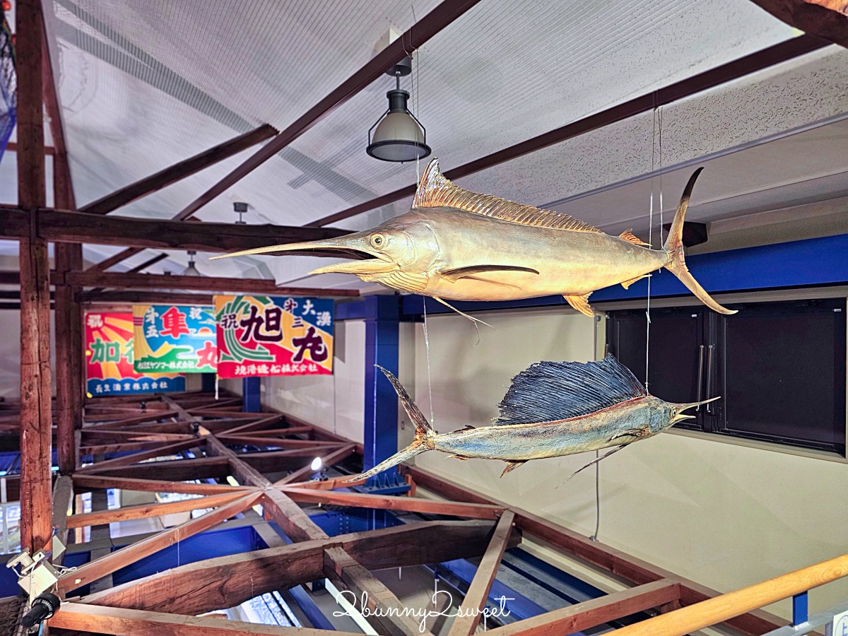 鳥取景點【海とくらしの史料館】日本最大魚類標本博物館,鳥取境港室內景點推薦 @兔兒毛毛姊妹花 鳥取景點【海とくらしの史料館】日本最大魚類標本博物館,鳥取境港室內景點推薦 @兔兒毛毛姊妹花