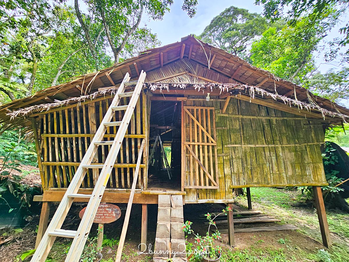 【婆羅洲文化村】沙巴最大文化村！探索七大原住民族、吹箭鑽木取火＋文化表演 @兔兒毛毛姊妹花