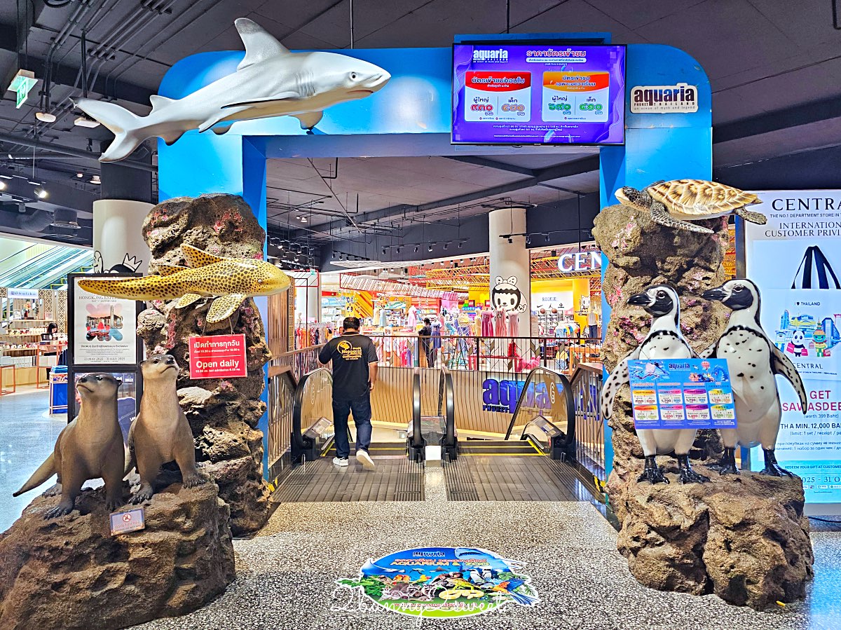 普吉島親子景點推薦|Aquaria Phuket 普吉水族館全攻略:門票交通、必點亮點一次整理! @兔兒毛毛姊妹花 普吉島親子景點推薦|Aquaria Phuket 普吉水族館全攻略:門票交通、必點亮點一次整理! @兔兒毛毛姊妹花