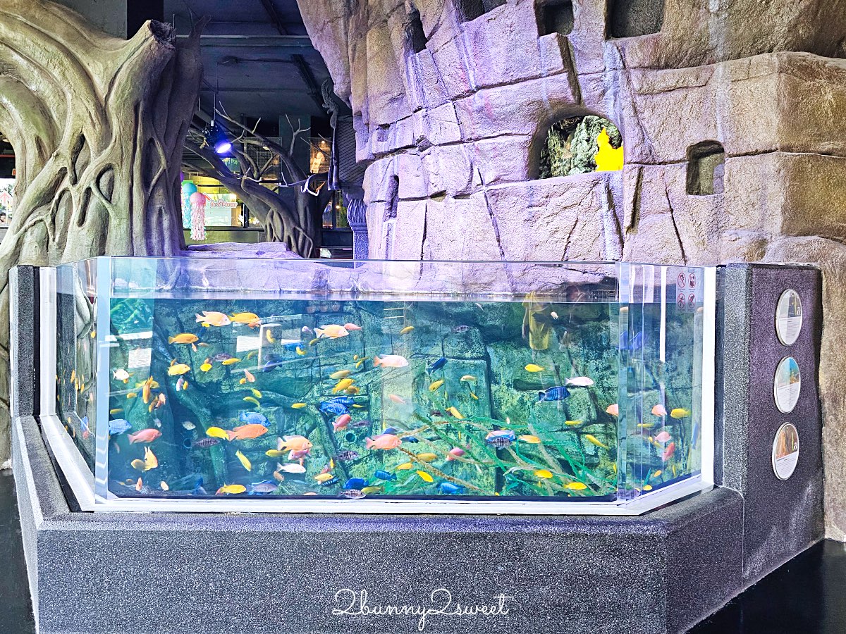 普吉島親子景點推薦|Aquaria Phuket 普吉水族館全攻略:門票交通、必點亮點一次整理! @兔兒毛毛姊妹花 普吉島親子景點推薦|Aquaria Phuket 普吉水族館全攻略:門票交通、必點亮點一次整理! @兔兒毛毛姊妹花