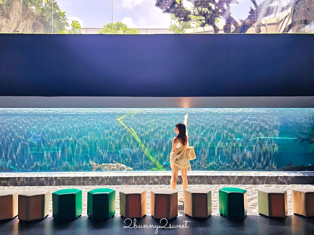 普吉島親子景點推薦|Aquaria Phuket 普吉水族館全攻略:門票交通、必點亮點一次整理! @兔兒毛毛姊妹花 普吉島親子景點推薦|Aquaria Phuket 普吉水族館全攻略:門票交通、必點亮點一次整理! @兔兒毛毛姊妹花