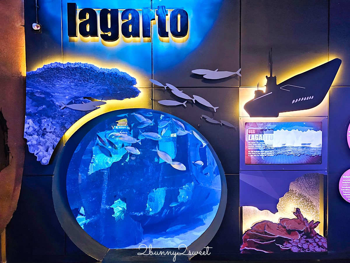 普吉島親子景點推薦|Aquaria Phuket 普吉水族館全攻略:門票交通、必點亮點一次整理! @兔兒毛毛姊妹花 普吉島親子景點推薦|Aquaria Phuket 普吉水族館全攻略:門票交通、必點亮點一次整理! @兔兒毛毛姊妹花