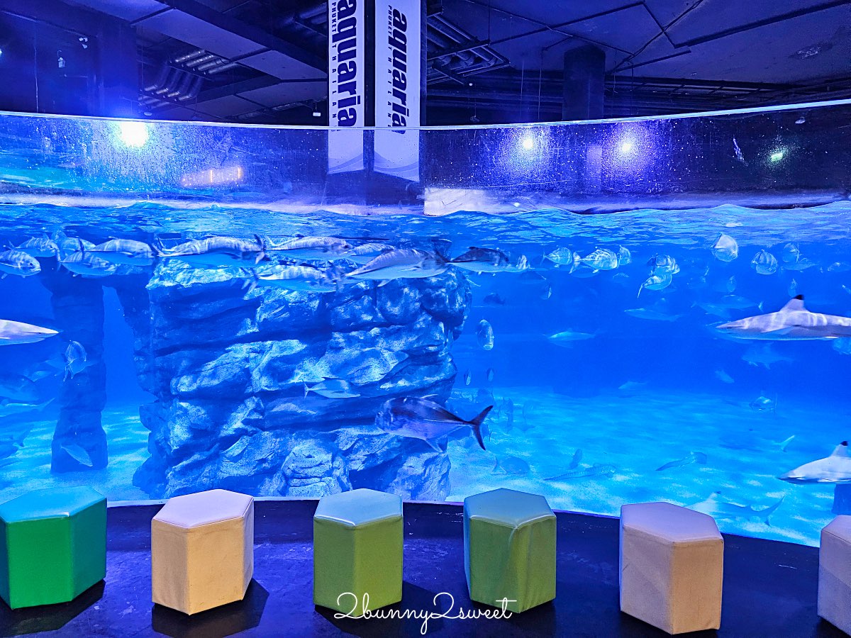 普吉島親子景點推薦|Aquaria Phuket 普吉水族館全攻略:門票交通、必點亮點一次整理! @兔兒毛毛姊妹花 普吉島親子景點推薦|Aquaria Phuket 普吉水族館全攻略:門票交通、必點亮點一次整理! @兔兒毛毛姊妹花