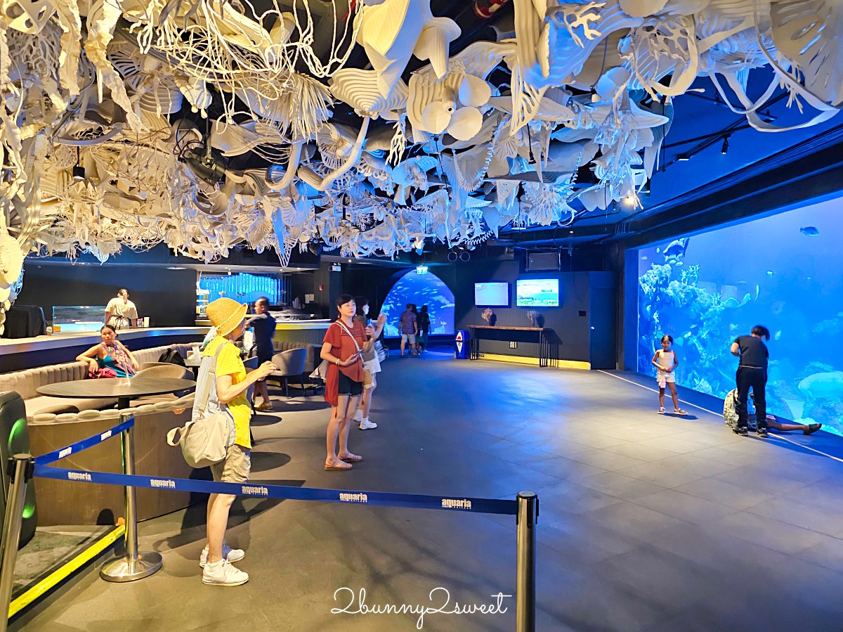 普吉島親子景點推薦|Aquaria Phuket 普吉水族館全攻略:門票交通、必點亮點一次整理! @兔兒毛毛姊妹花 普吉島親子景點推薦|Aquaria Phuket 普吉水族館全攻略:門票交通、必點亮點一次整理! @兔兒毛毛姊妹花