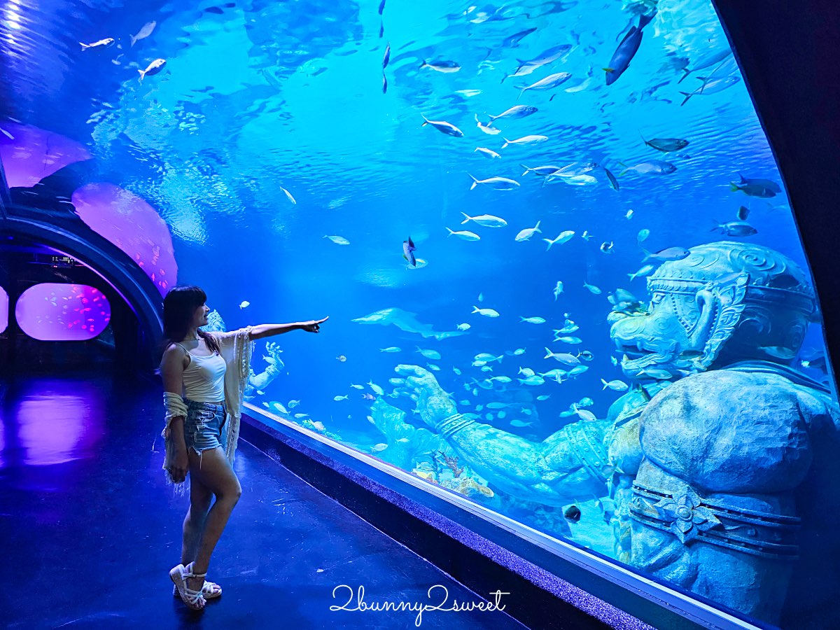 普吉島親子景點推薦|Aquaria Phuket 普吉水族館全攻略:門票交通、必點亮點一次整理! @兔兒毛毛姊妹花 普吉島親子景點推薦|Aquaria Phuket 普吉水族館全攻略:門票交通、必點亮點一次整理! @兔兒毛毛姊妹花