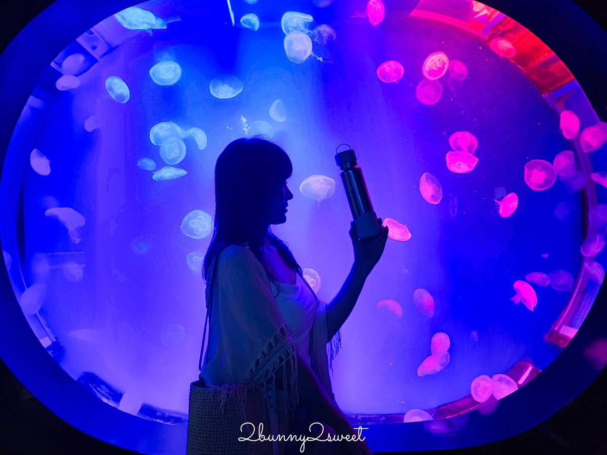 普吉島親子景點推薦|Aquaria Phuket 普吉水族館全攻略:門票交通、必點亮點一次整理! @兔兒毛毛姊妹花 普吉島親子景點推薦|Aquaria Phuket 普吉水族館全攻略:門票交通、必點亮點一次整理! @兔兒毛毛姊妹花