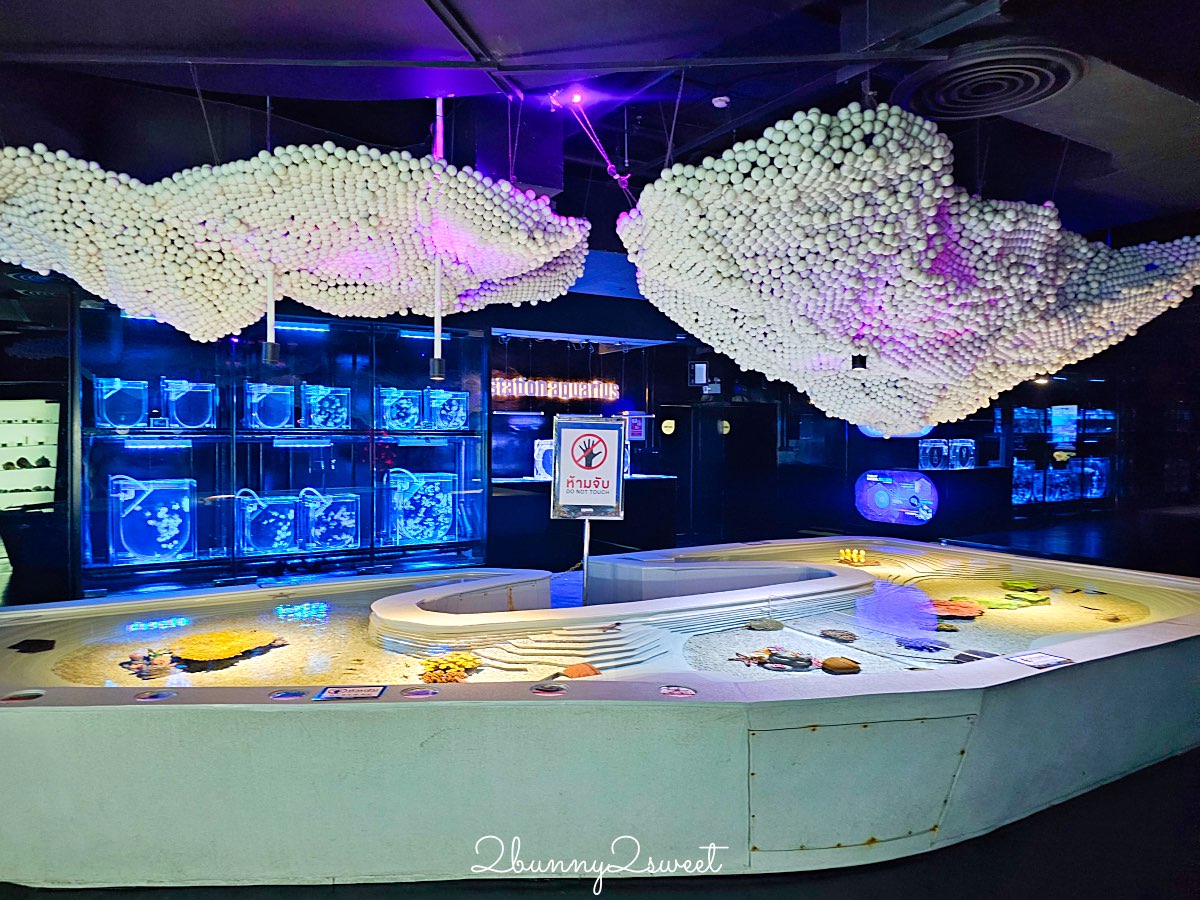 普吉島親子景點推薦|Aquaria Phuket 普吉水族館全攻略:門票交通、必點亮點一次整理! @兔兒毛毛姊妹花 普吉島親子景點推薦|Aquaria Phuket 普吉水族館全攻略:門票交通、必點亮點一次整理! @兔兒毛毛姊妹花