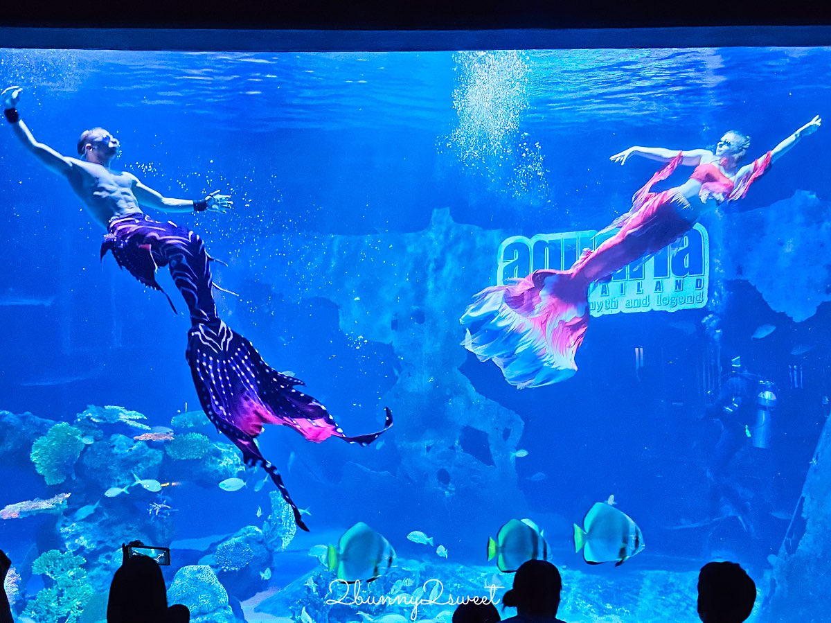 普吉島親子景點推薦|Aquaria Phuket 普吉水族館全攻略:門票交通、必點亮點一次整理! @兔兒毛毛姊妹花 普吉島親子景點推薦|Aquaria Phuket 普吉水族館全攻略:門票交通、必點亮點一次整理! @兔兒毛毛姊妹花