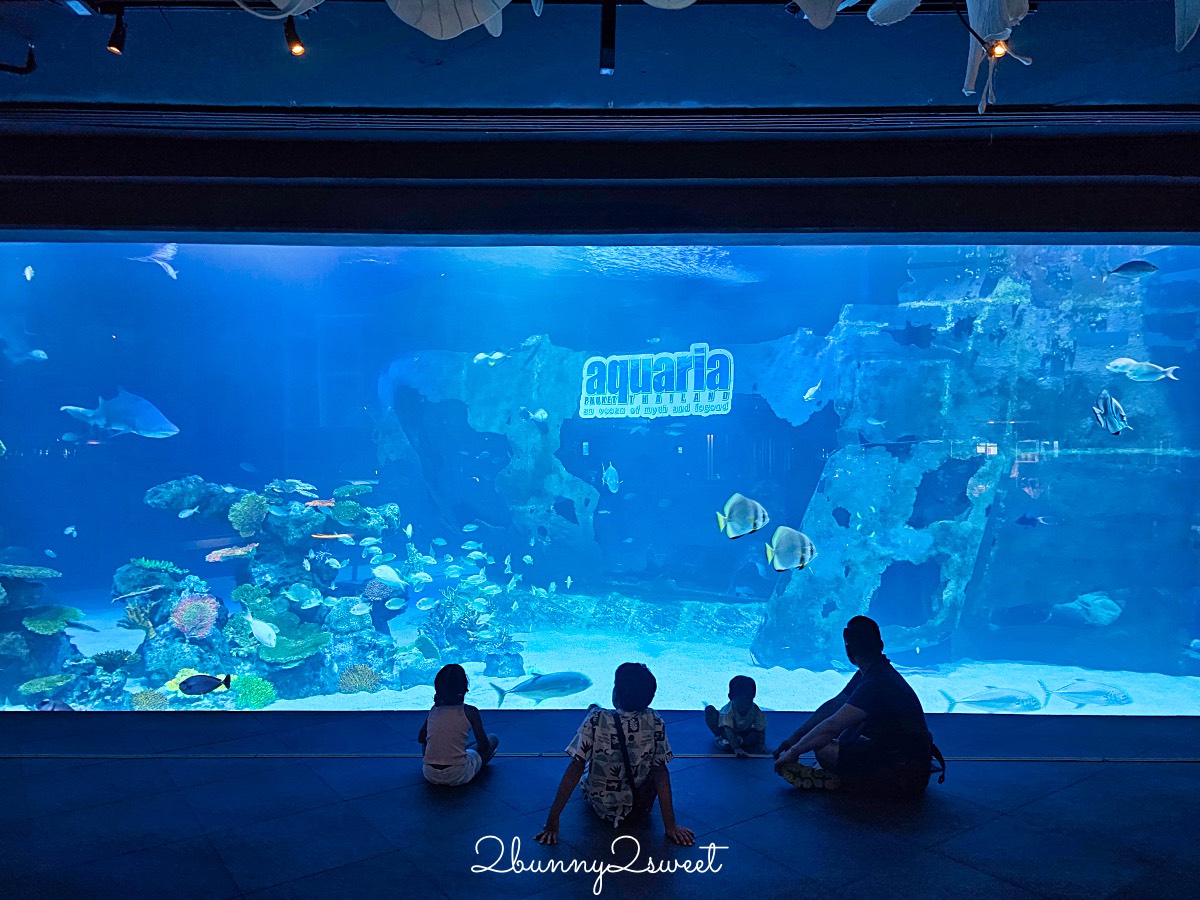 普吉島親子景點推薦|Aquaria Phuket 普吉水族館全攻略:門票交通、必點亮點一次整理! @兔兒毛毛姊妹花 普吉島親子景點推薦|Aquaria Phuket 普吉水族館全攻略:門票交通、必點亮點一次整理! @兔兒毛毛姊妹花