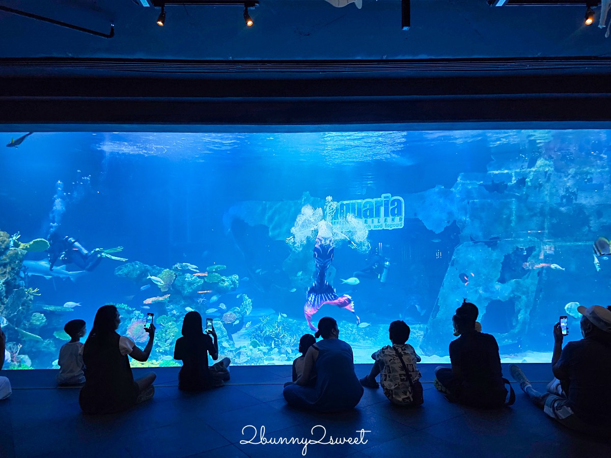 普吉島親子景點推薦|Aquaria Phuket 普吉水族館全攻略:門票交通、必點亮點一次整理! @兔兒毛毛姊妹花 普吉島親子景點推薦|Aquaria Phuket 普吉水族館全攻略:門票交通、必點亮點一次整理! @兔兒毛毛姊妹花