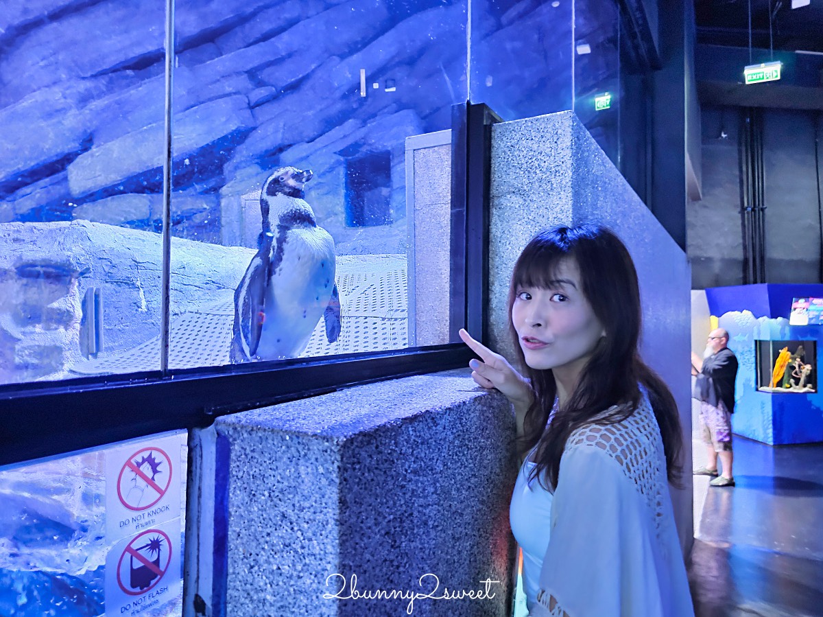 普吉島親子景點推薦|Aquaria Phuket 普吉水族館全攻略:門票交通、必點亮點一次整理! @兔兒毛毛姊妹花 普吉島親子景點推薦|Aquaria Phuket 普吉水族館全攻略:門票交通、必點亮點一次整理! @兔兒毛毛姊妹花
