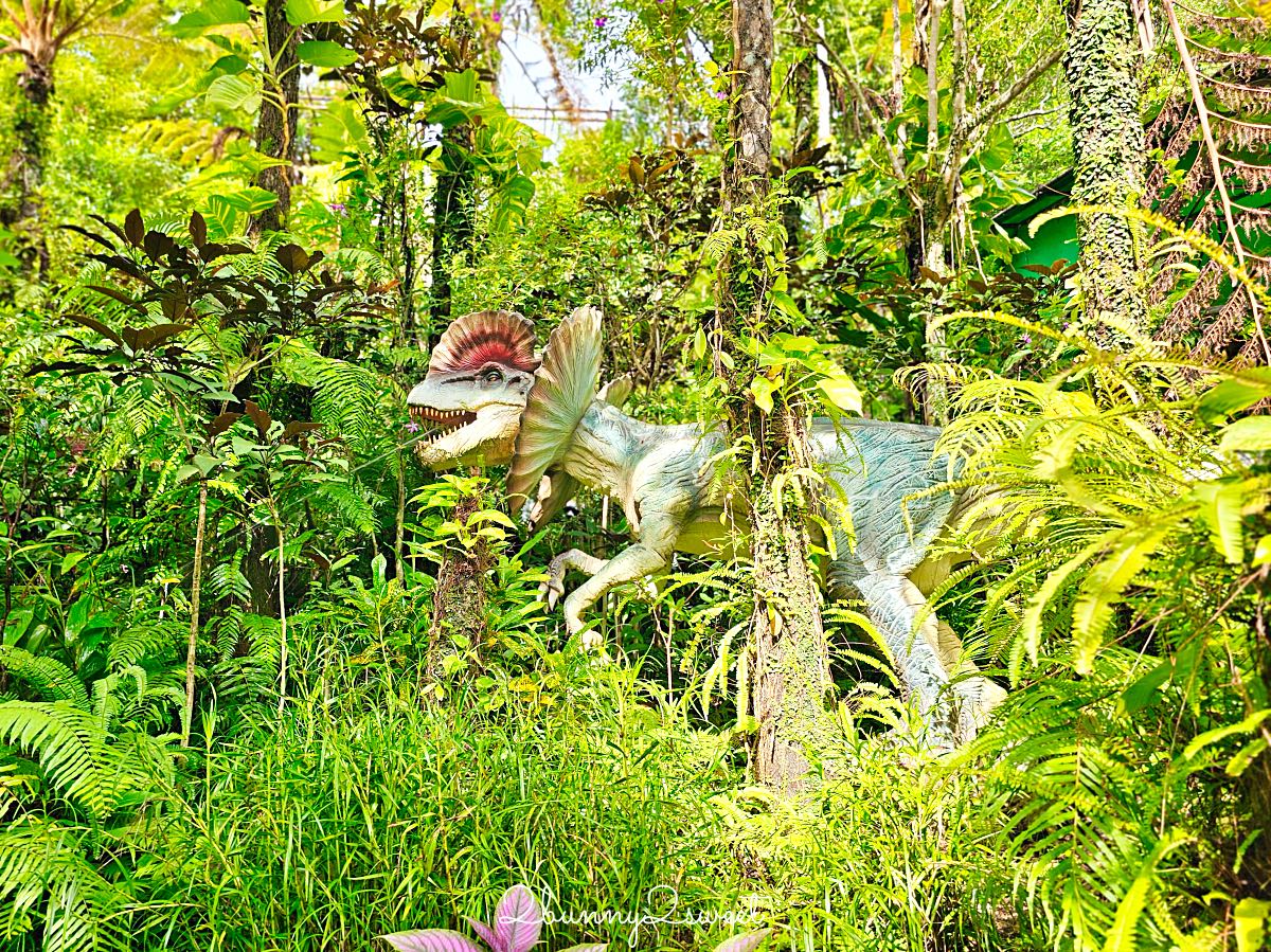 沖繩名護DINO恐龍公園完整攻略：交通、門票、園區介紹與旅遊心得 @兔兒毛毛姊妹花