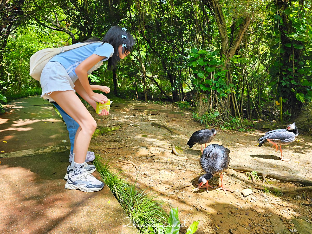 【名護自然動植物公園 Neo Park Okinawa】沖繩親子景點～動物互動、小火車、生態園區全攻略 @兔兒毛毛姊妹花