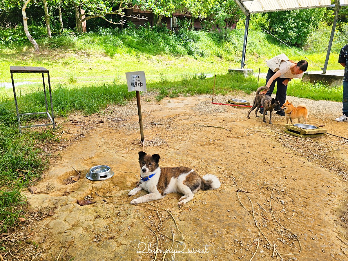 【名護自然動植物公園 Neo Park Okinawa】沖繩親子景點～動物互動、小火車、生態園區全攻略 @兔兒毛毛姊妹花