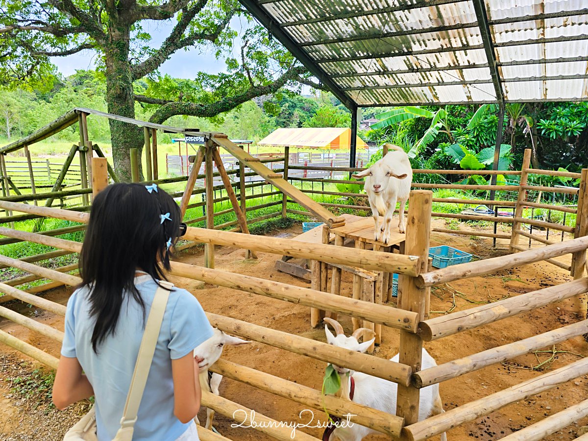 【名護自然動植物公園 Neo Park Okinawa】沖繩親子景點～動物互動、小火車、生態園區全攻略 @兔兒毛毛姊妹花
