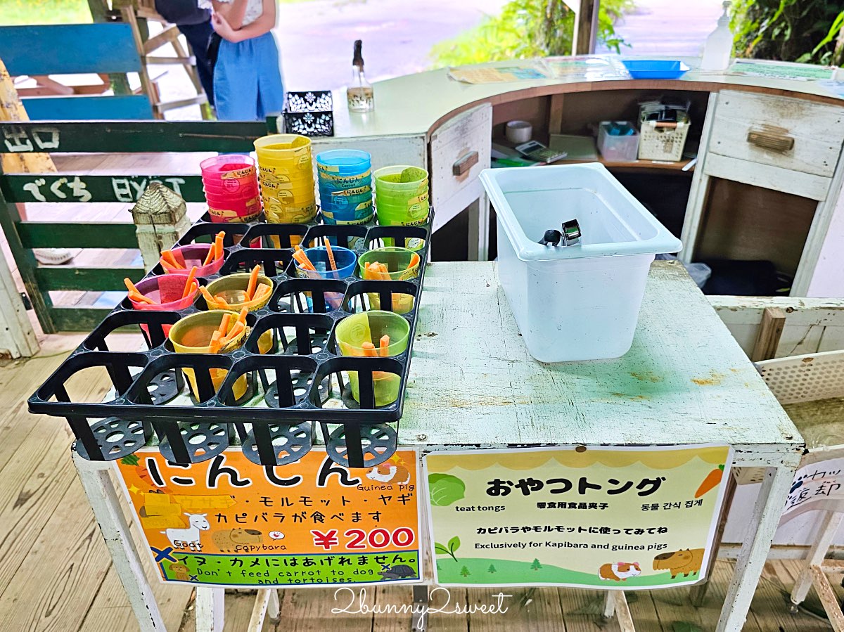 【名護自然動植物公園 Neo Park Okinawa】沖繩親子景點～動物互動、小火車、生態園區全攻略 @兔兒毛毛姊妹花
