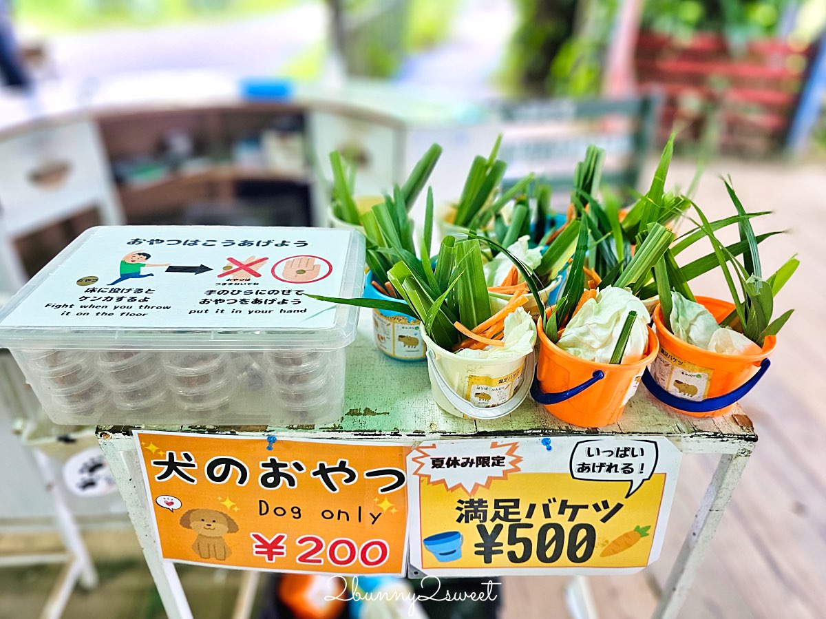 【名護自然動植物公園 Neo Park Okinawa】沖繩親子景點～動物互動、小火車、生態園區全攻略 @兔兒毛毛姊妹花
