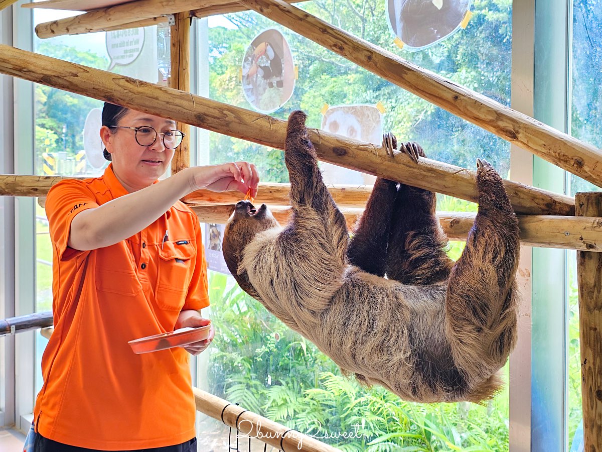 【名護自然動植物公園 Neo Park Okinawa】沖繩親子景點～動物互動、小火車、生態園區全攻略 @兔兒毛毛姊妹花