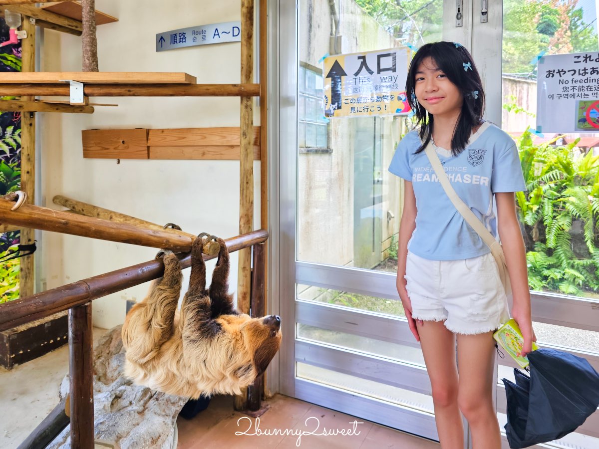 【名護自然動植物公園 Neo Park Okinawa】沖繩親子景點～動物互動、小火車、生態園區全攻略 @兔兒毛毛姊妹花
