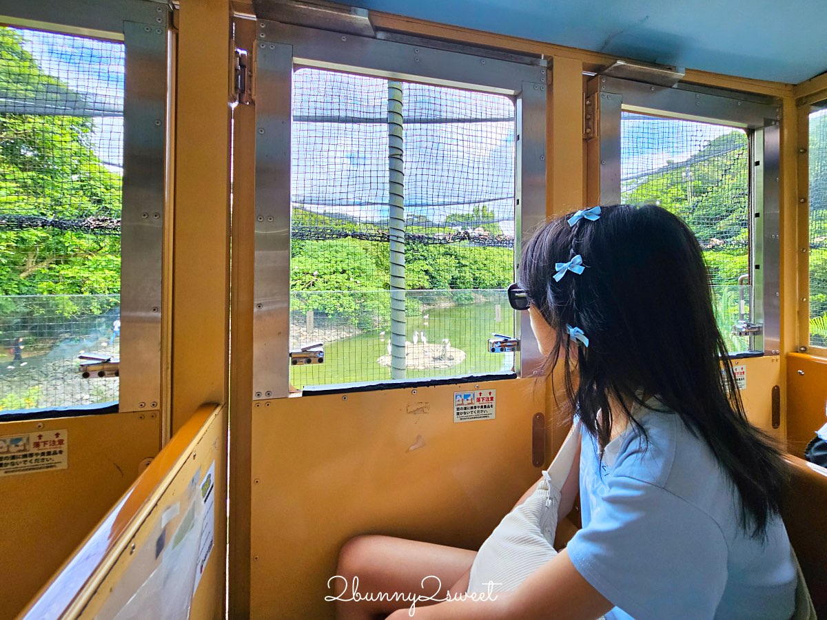 【名護自然動植物公園 Neo Park Okinawa】沖繩親子景點～動物互動、小火車、生態園區全攻略 @兔兒毛毛姊妹花