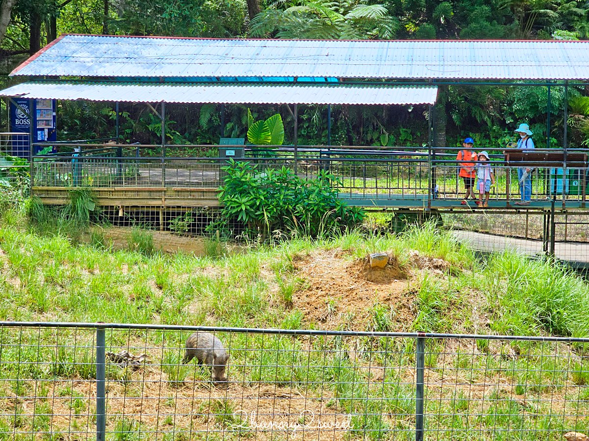【名護自然動植物公園 Neo Park Okinawa】沖繩親子景點～動物互動、小火車、生態園區全攻略 @兔兒毛毛姊妹花