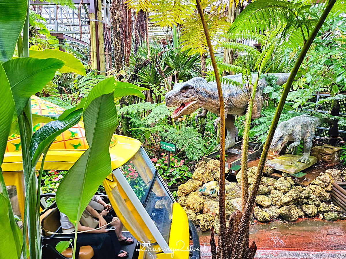 【名護鳳梨園】沖繩親子景點推薦｜搭鳳梨車、恐龍園、鳳梨主題樂園、FUN PASS免費景點 @兔兒毛毛姊妹花