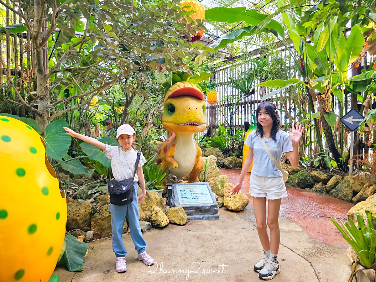 【名護鳳梨園】沖繩親子景點推薦｜搭鳳梨車、恐龍園、鳳梨主題樂園、FUN PASS免費景點 @兔兒毛毛姊妹花