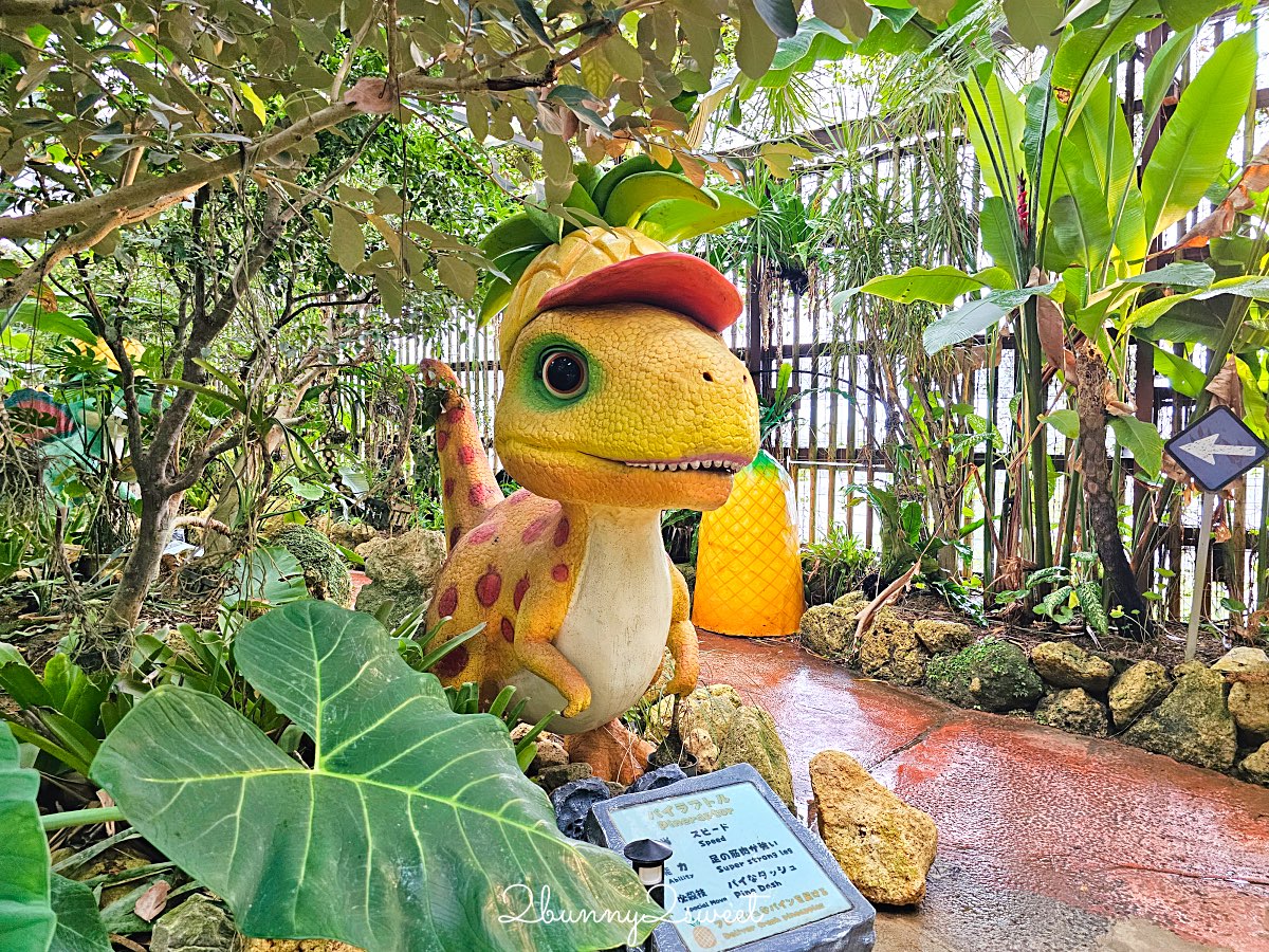 【名護鳳梨園】沖繩親子景點推薦｜搭鳳梨車、恐龍園、鳳梨主題樂園、FUN PASS免費景點 @兔兒毛毛姊妹花