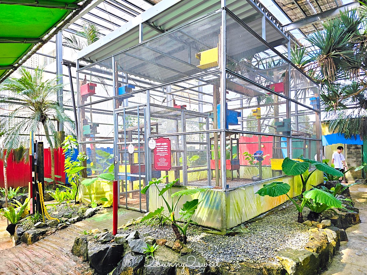 【沖繩水果樂園 OKINAWA FRUITS LAND】北部名護親子景點！闖關冒險、熱帶水果＋門票交通 @兔兒毛毛姊妹花
