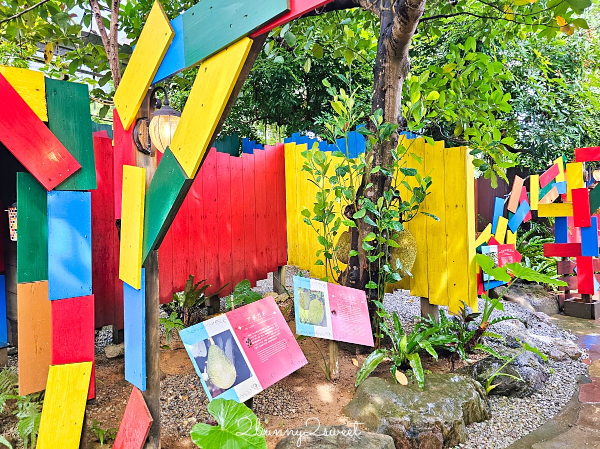 【沖繩水果樂園 OKINAWA FRUITS LAND】北部名護親子景點！闖關冒險、熱帶水果＋門票交通 @兔兒毛毛姊妹花
