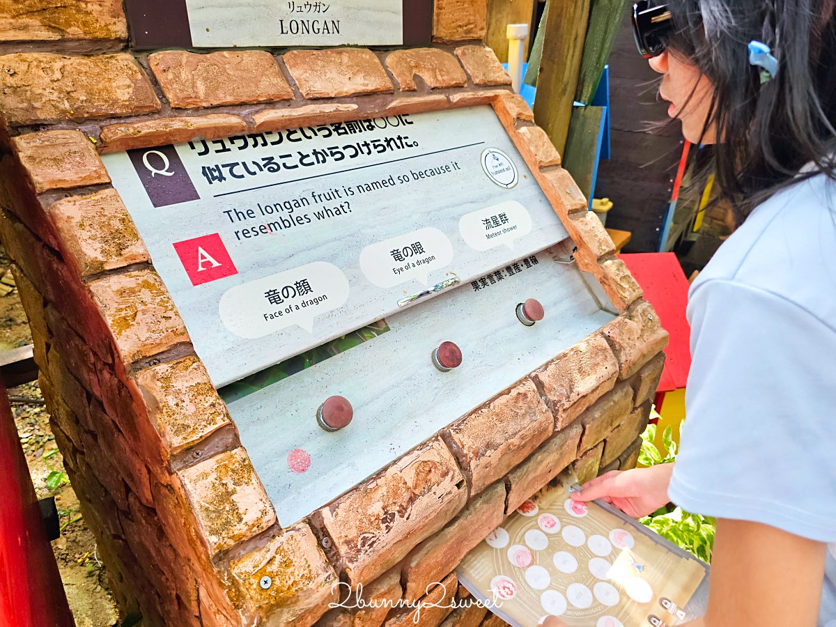 【沖繩水果樂園 OKINAWA FRUITS LAND】北部名護親子景點！闖關冒險、熱帶水果＋門票交通 @兔兒毛毛姊妹花