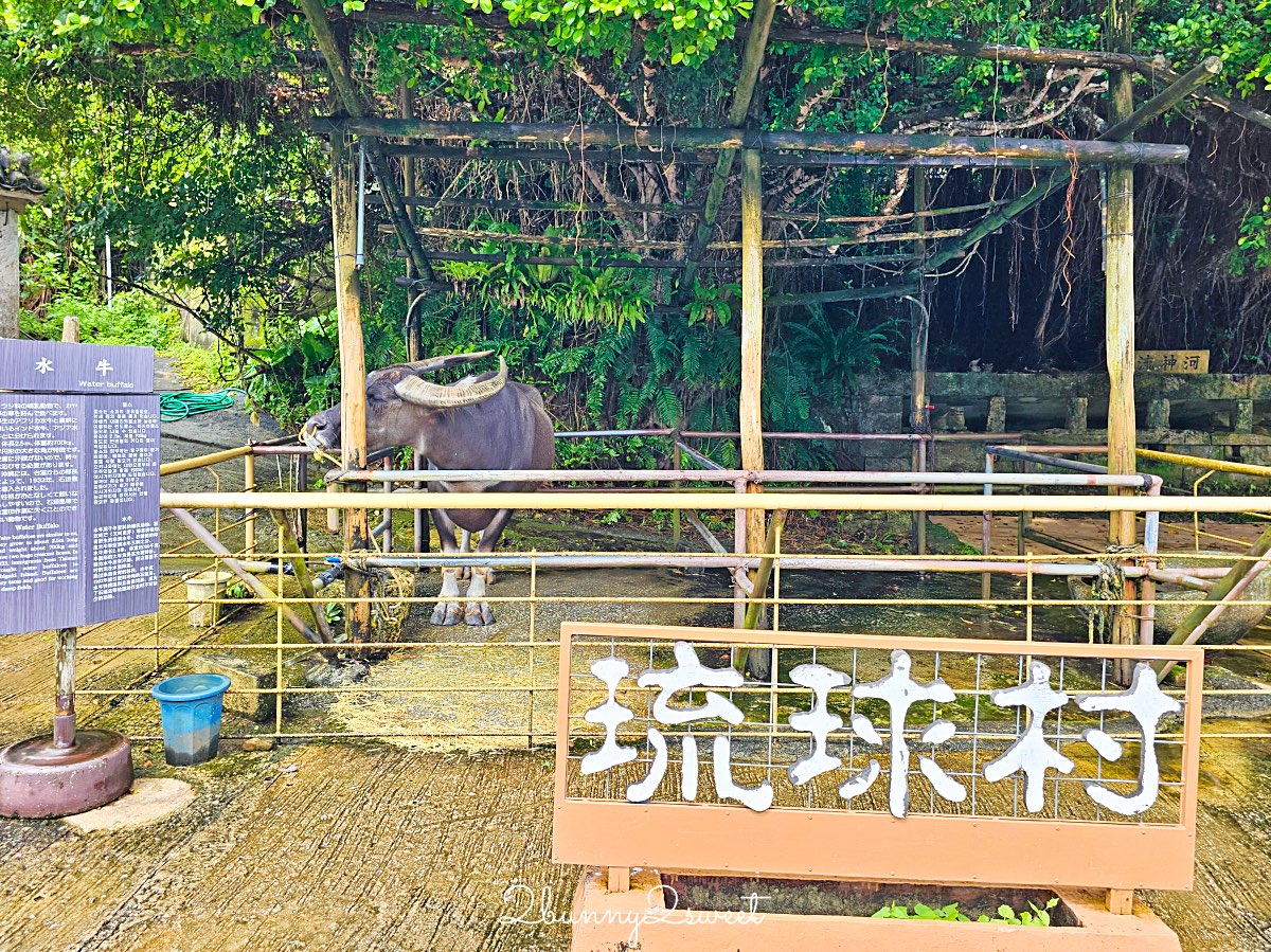 【沖繩琉球村】恩納村必去景點！琉裝體驗、百年古民家、EISA太鼓表演＋門票交通攻略 @兔兒毛毛姊妹花