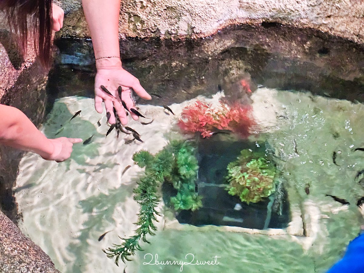【DMM Kariyushi水族館】沖繩親子景點推薦|懶懶樂園、動物互動、門票交通攻略 @兔兒毛毛姊妹花 【DMM Kariyushi水族館】沖繩親子景點推薦|懶懶樂園、動物互動、門票交通攻略 @兔兒毛毛姊妹花