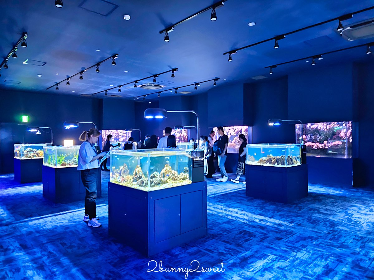 【DMM Kariyushi水族館】沖繩親子景點推薦|懶懶樂園、動物互動、門票交通攻略 @兔兒毛毛姊妹花 【DMM Kariyushi水族館】沖繩親子景點推薦|懶懶樂園、動物互動、門票交通攻略 @兔兒毛毛姊妹花