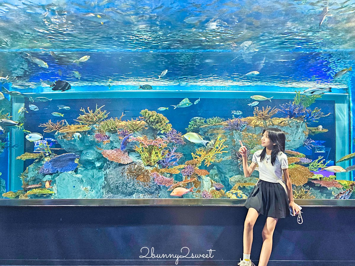 【DMM Kariyushi水族館】沖繩親子景點推薦|懶懶樂園、動物互動、門票交通攻略 @兔兒毛毛姊妹花 【DMM Kariyushi水族館】沖繩親子景點推薦|懶懶樂園、動物互動、門票交通攻略 @兔兒毛毛姊妹花