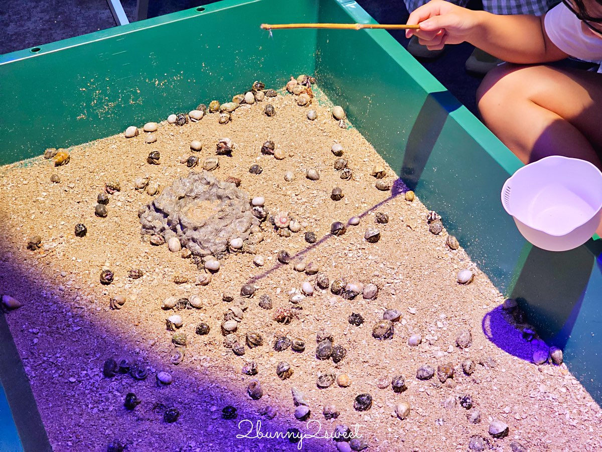 【DMM Kariyushi水族館】沖繩親子景點推薦|懶懶樂園、動物互動、門票交通攻略 @兔兒毛毛姊妹花 【DMM Kariyushi水族館】沖繩親子景點推薦|懶懶樂園、動物互動、門票交通攻略 @兔兒毛毛姊妹花