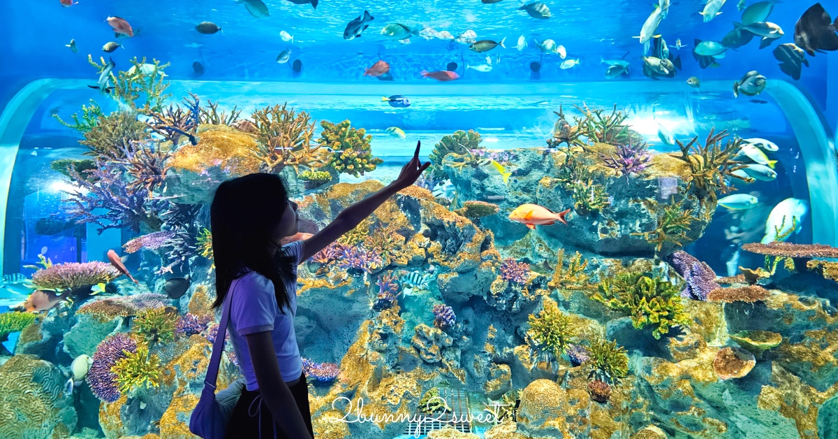 【DMM Kariyushi水族館】沖繩親子景點推薦|懶懶樂園、動物互動、門票交通攻略 @兔兒毛毛姊妹花 【DMM Kariyushi水族館】沖繩親子景點推薦|懶懶樂園、動物互動、門票交通攻略 @兔兒毛毛姊妹花