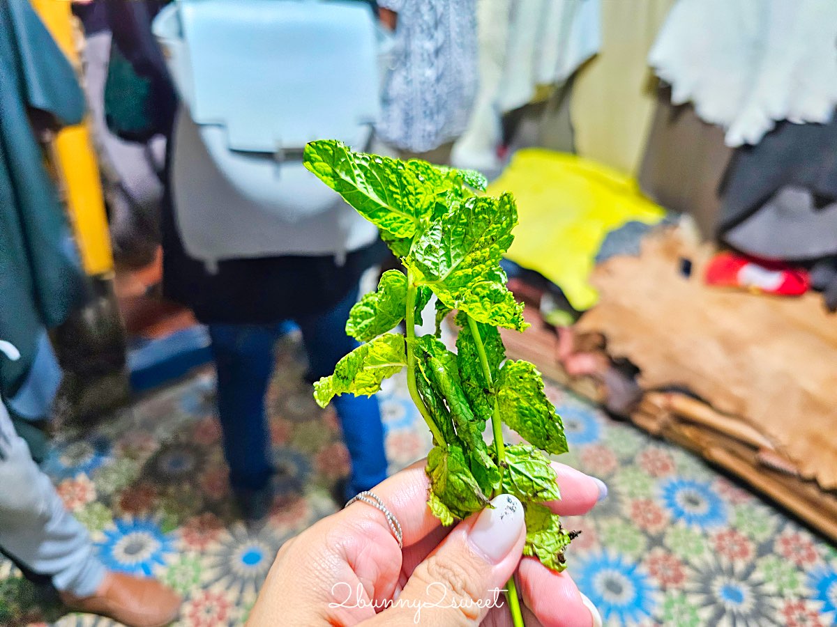 摩洛哥【菲斯景點】一日遊攻略:老城迷宮、皮革染坊、藍門與千年古城散步地圖 @兔兒毛毛姊妹花 摩洛哥【菲斯景點】一日遊攻略:老城迷宮、皮革染坊、藍門與千年古城散步地圖 @兔兒毛毛姊妹花